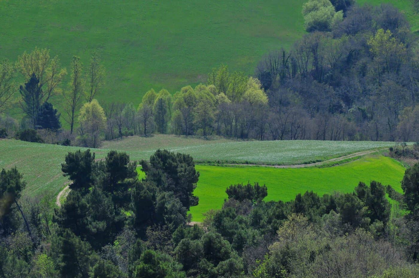 La-Tenuta-Foto-Panoramica La-Tenuta-Foto-Panoramica