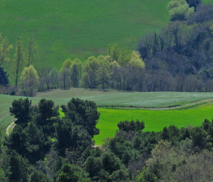 La-Tenuta-Foto-Panoramica La-Tenuta-Foto-Panoramica